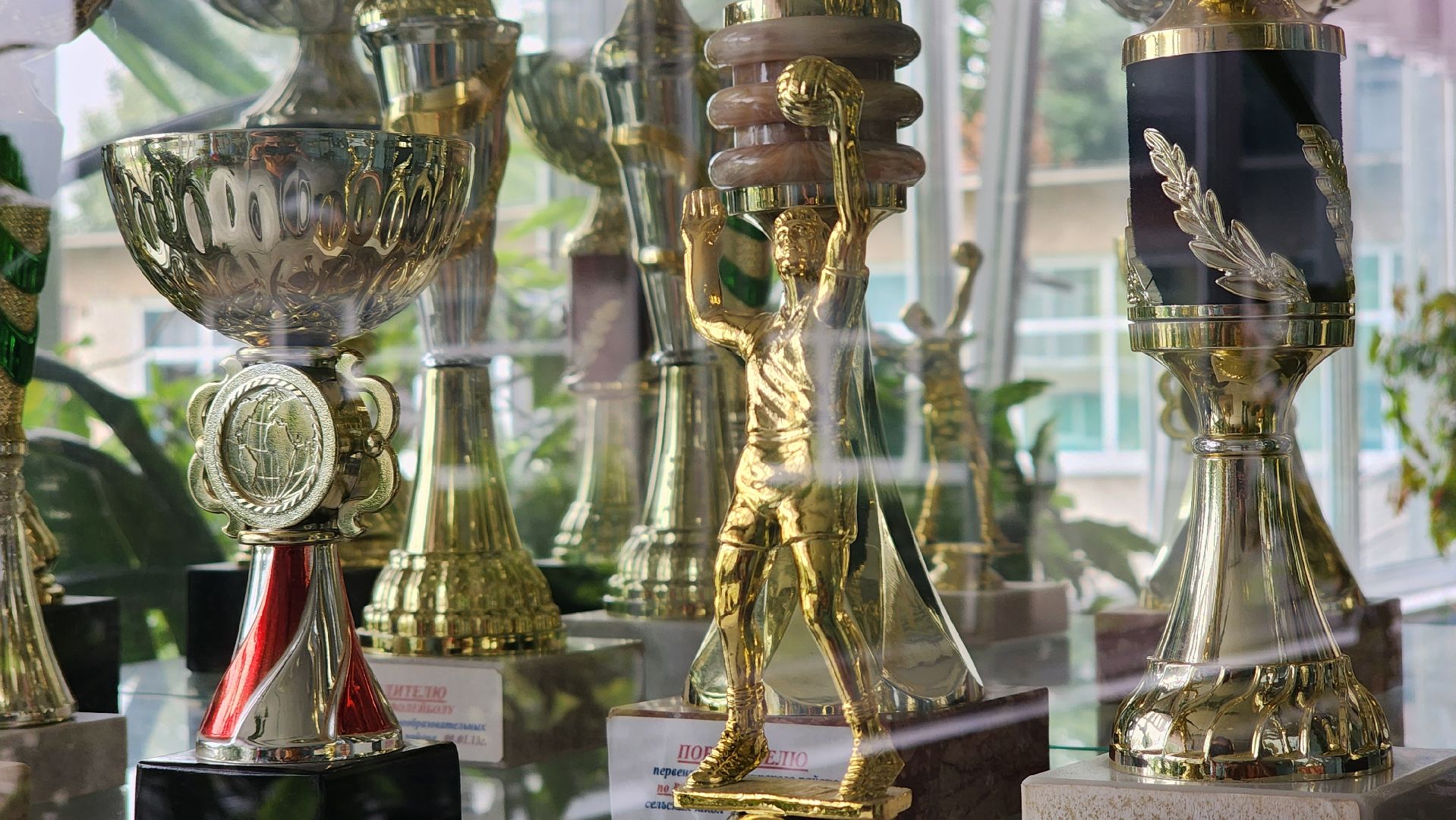 Ступино, образование, топ-500 лучших школ подмосковья