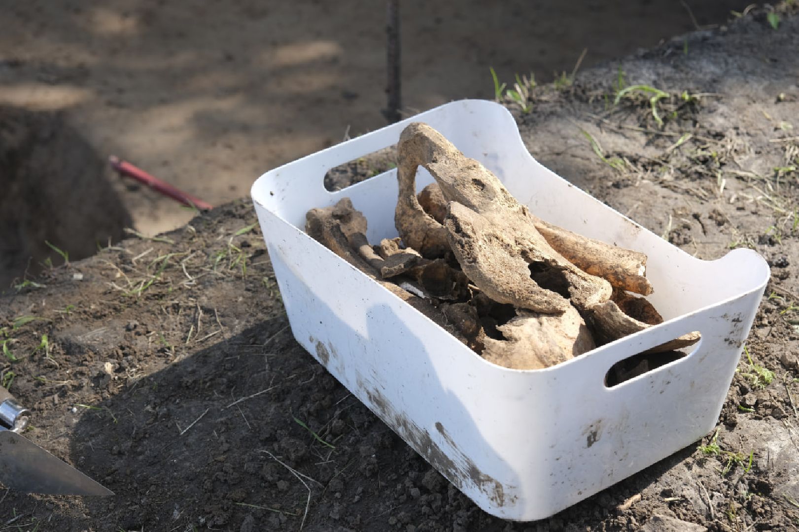 Пущино, археология