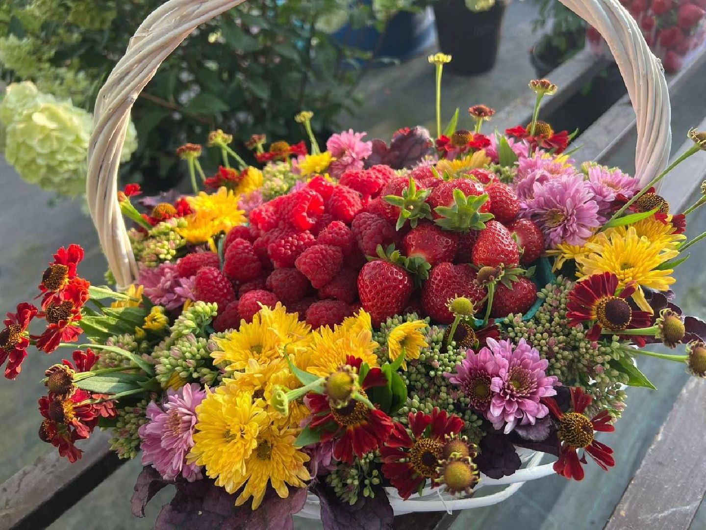 Звенигород, день знаний, цветочные композиции, садовый центр