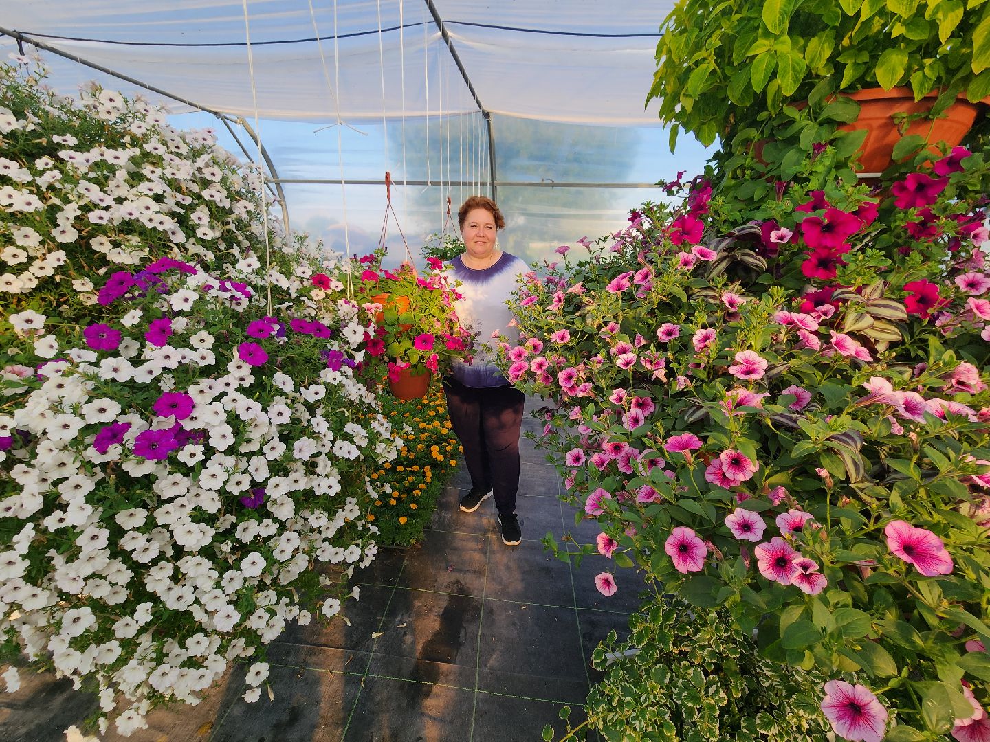 Звенигород, день знаний, цветочные композиции, садовый центр