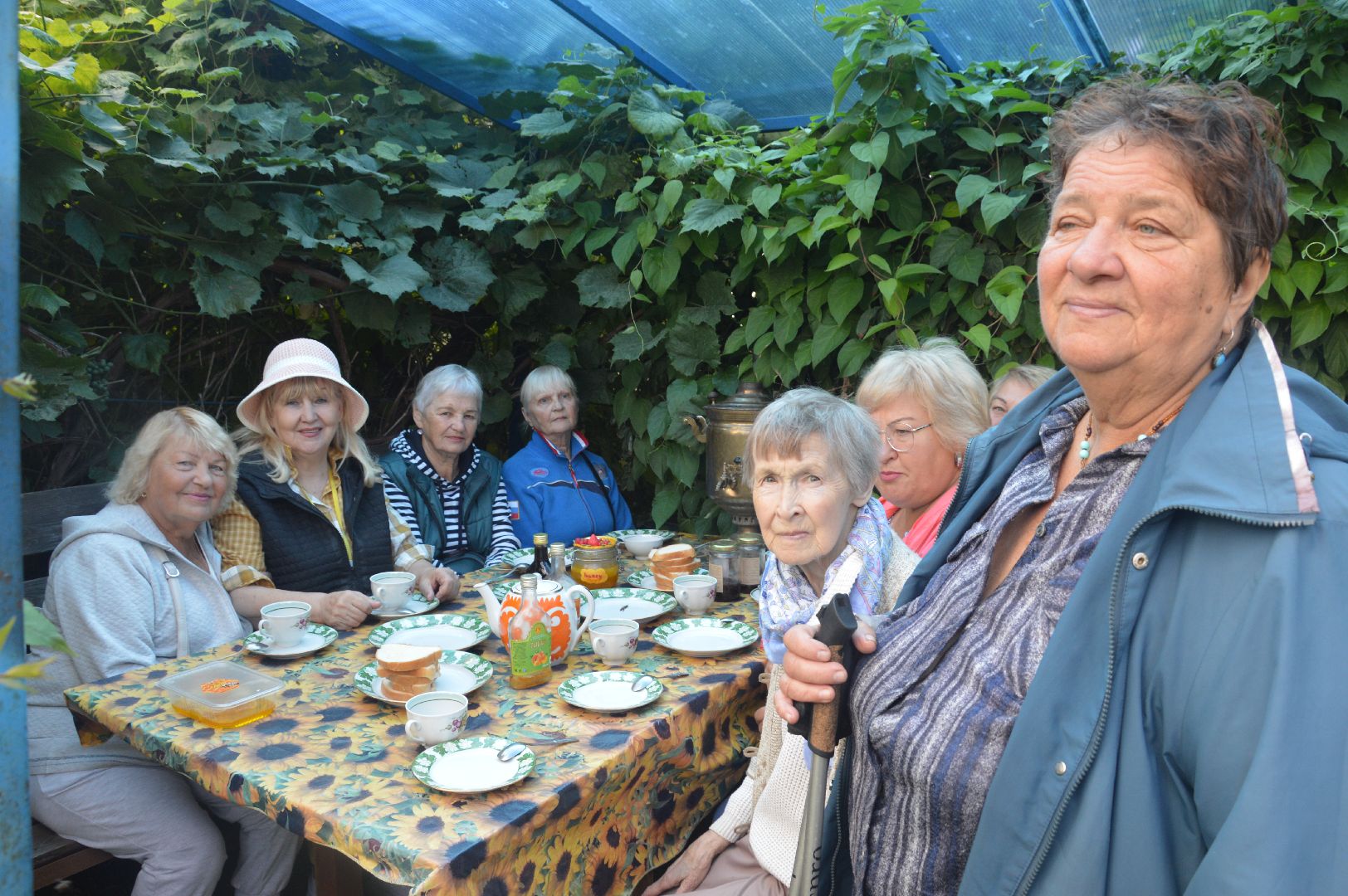 Шатура, активное долголетие, мёд, пасека, экскурсия