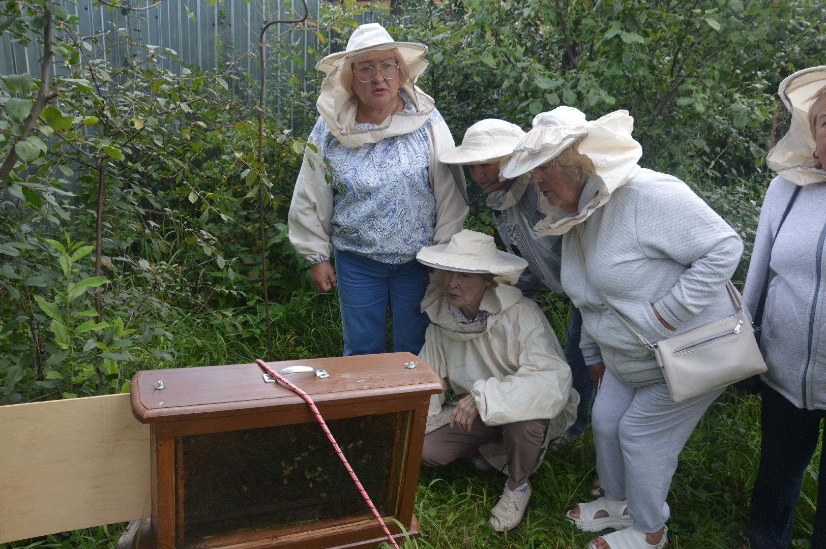 Шатура, активное долголетие, мёд, пасека, экскурсия