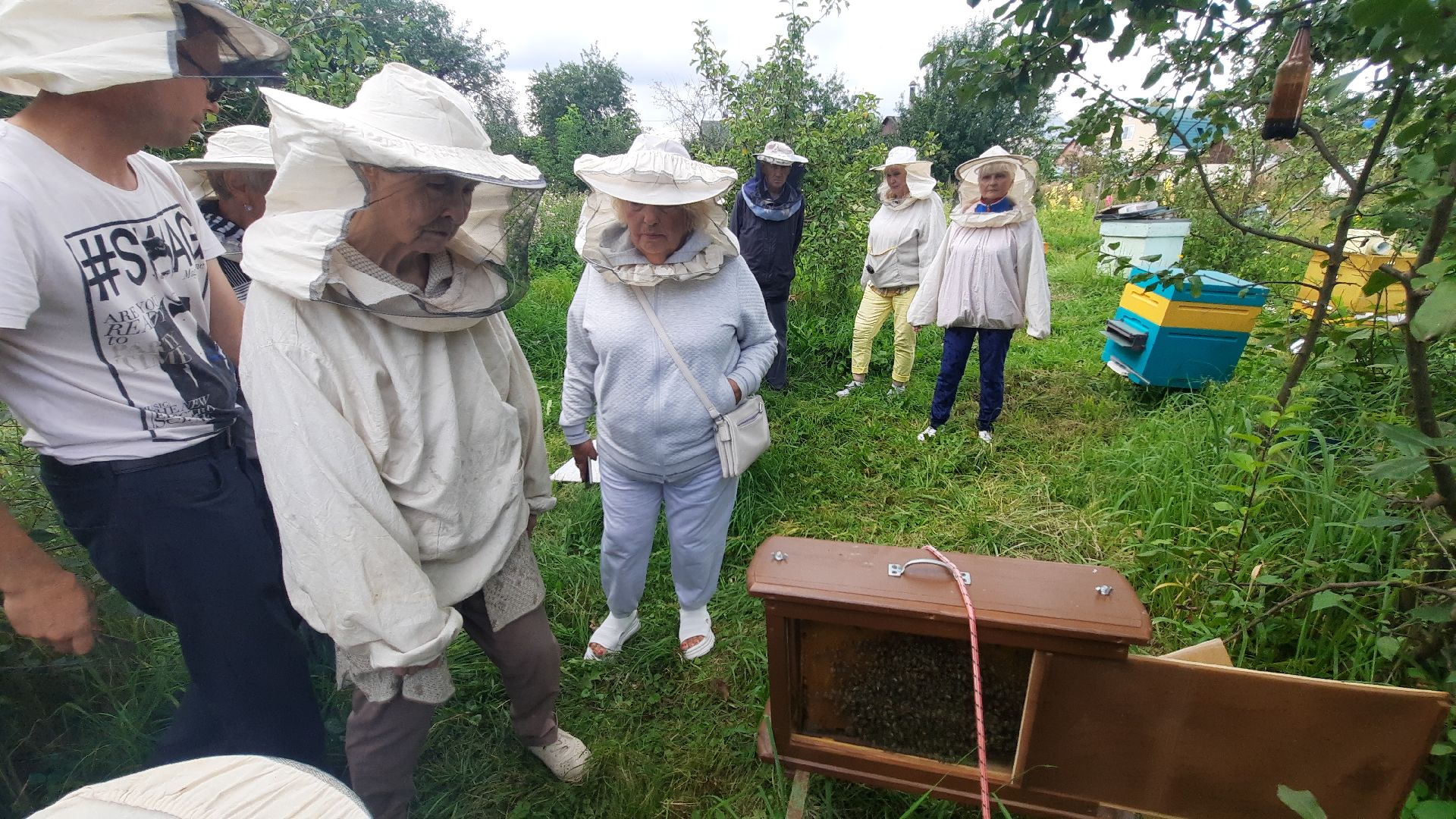 Шатура, активное долголетие, мёд, пасека, экскурсия