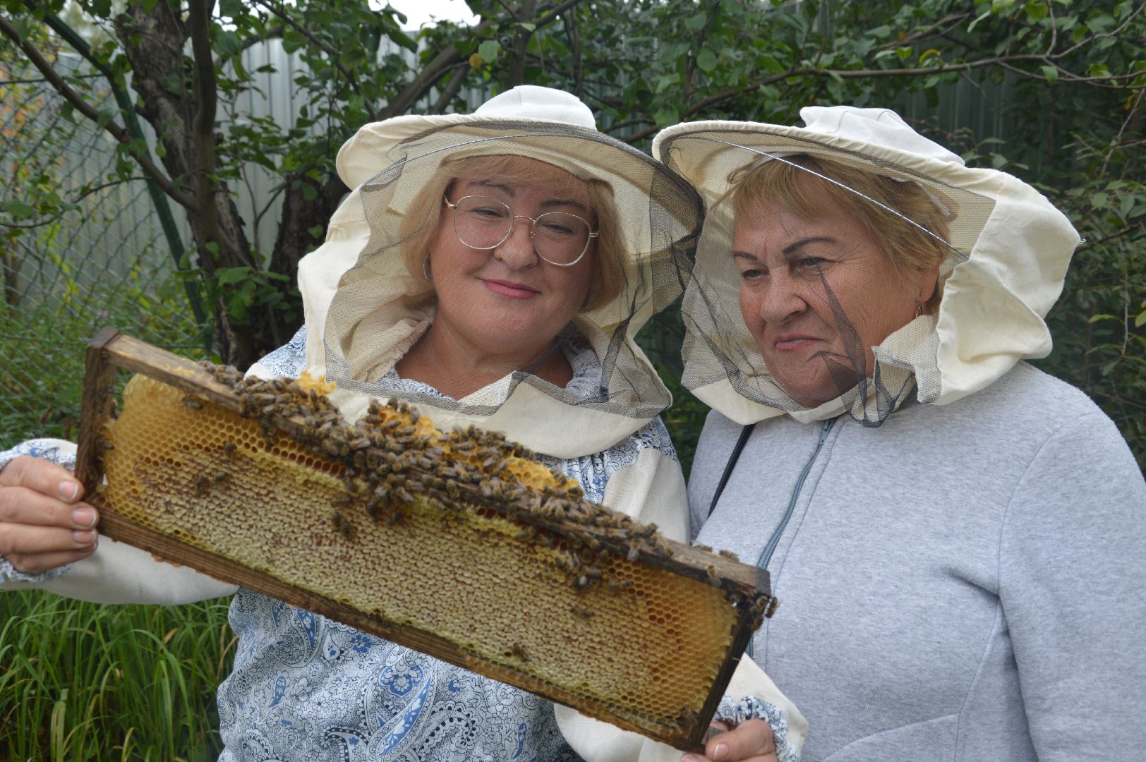Шатура, активное долголетие, мёд, пасека, экскурсия