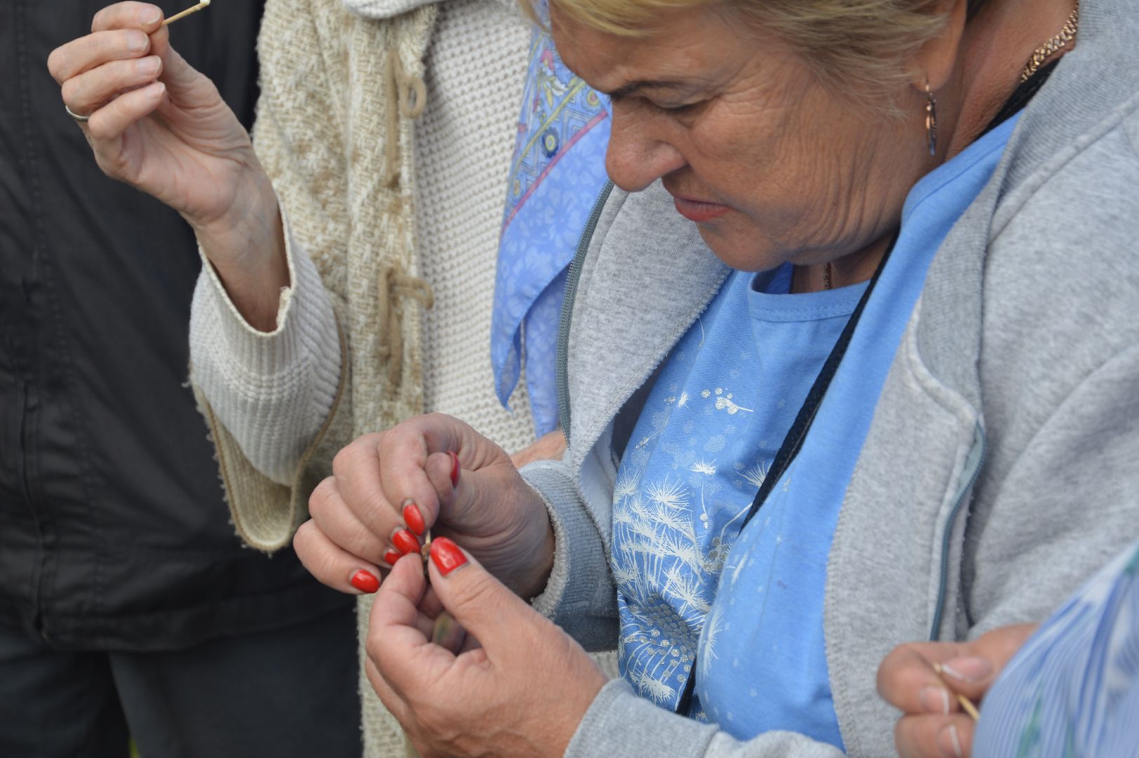Шатура, активное долголетие, мёд, пасека, экскурсия