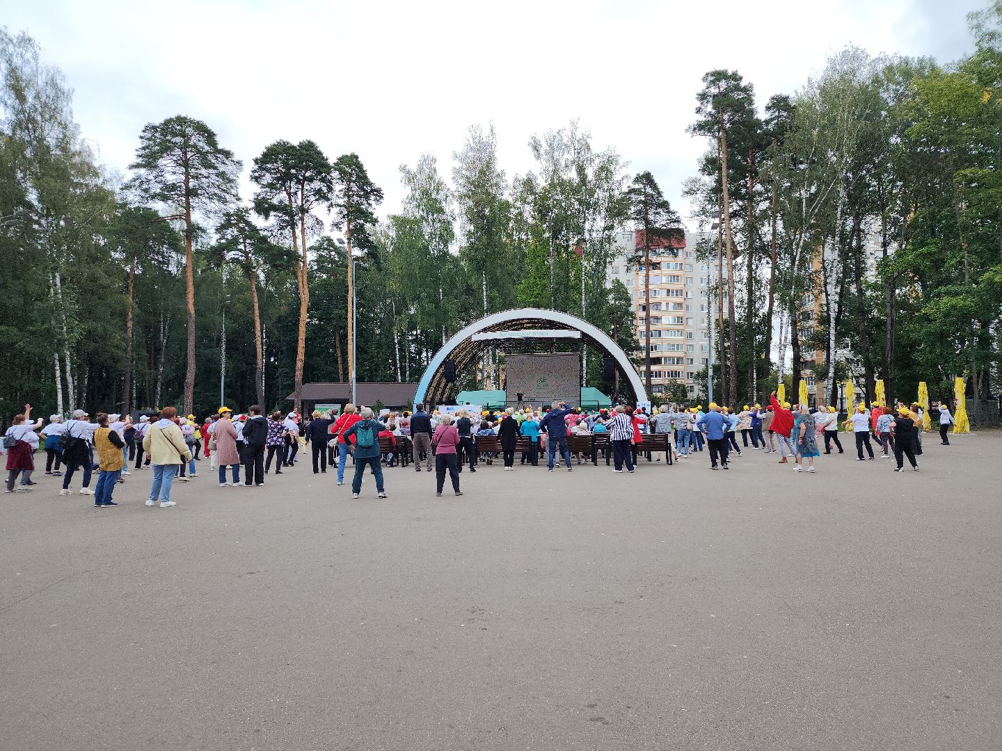 Активное долголетие, долголеты, зарядка, Ногинск, Богородский городской округ