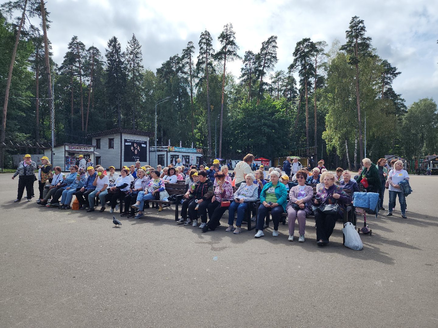 Активное долголетие, Зарядка долголетов, Центральный парк, Ногинск, Богородский городской округ