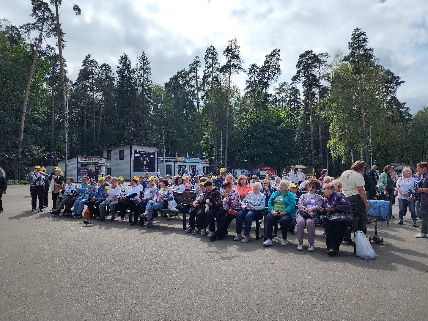Активное долголетие, Зарядка долголетов, Центральный парк, Ногинск, Богородский городской округ