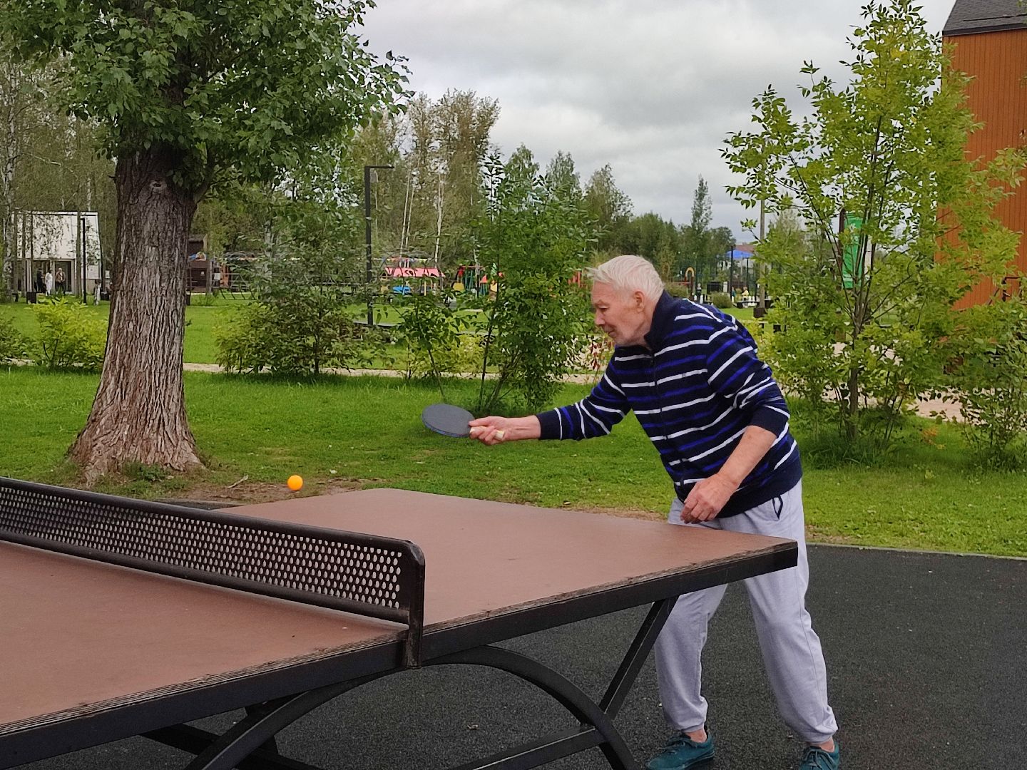 #йога, #активноедолголетие, #потягушки, #скандинавскаяходьба, #настольныйтеннис