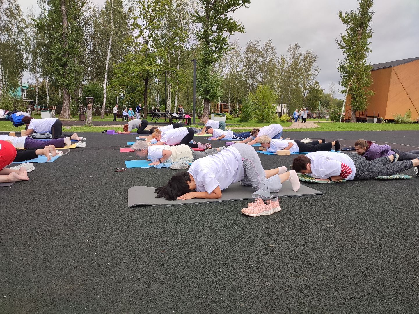 #йога, #активноедолголетие, #потягушки, #скандинавскаяходьба, #настольныйтеннис