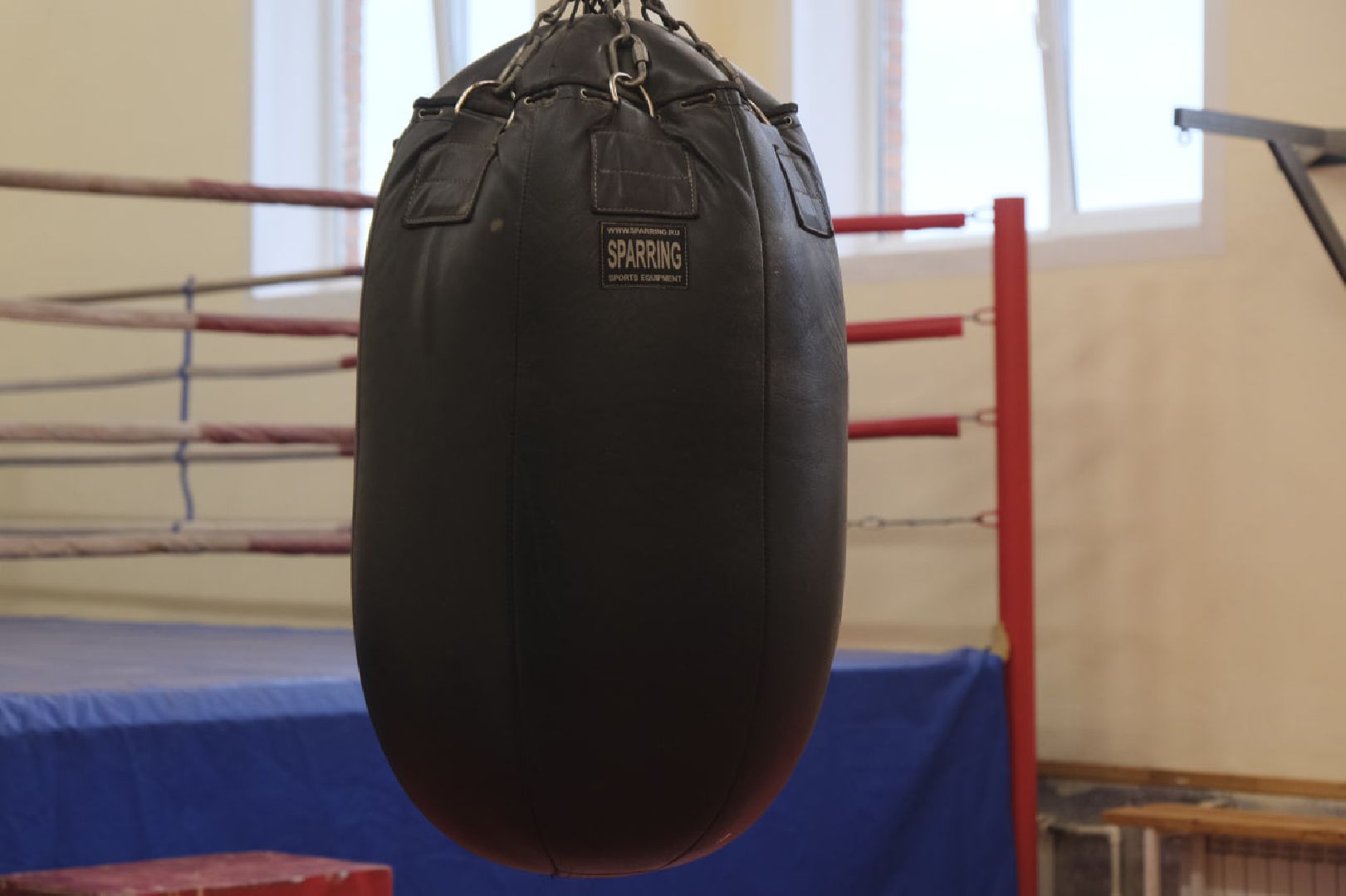 Пущино, спорт, бокс