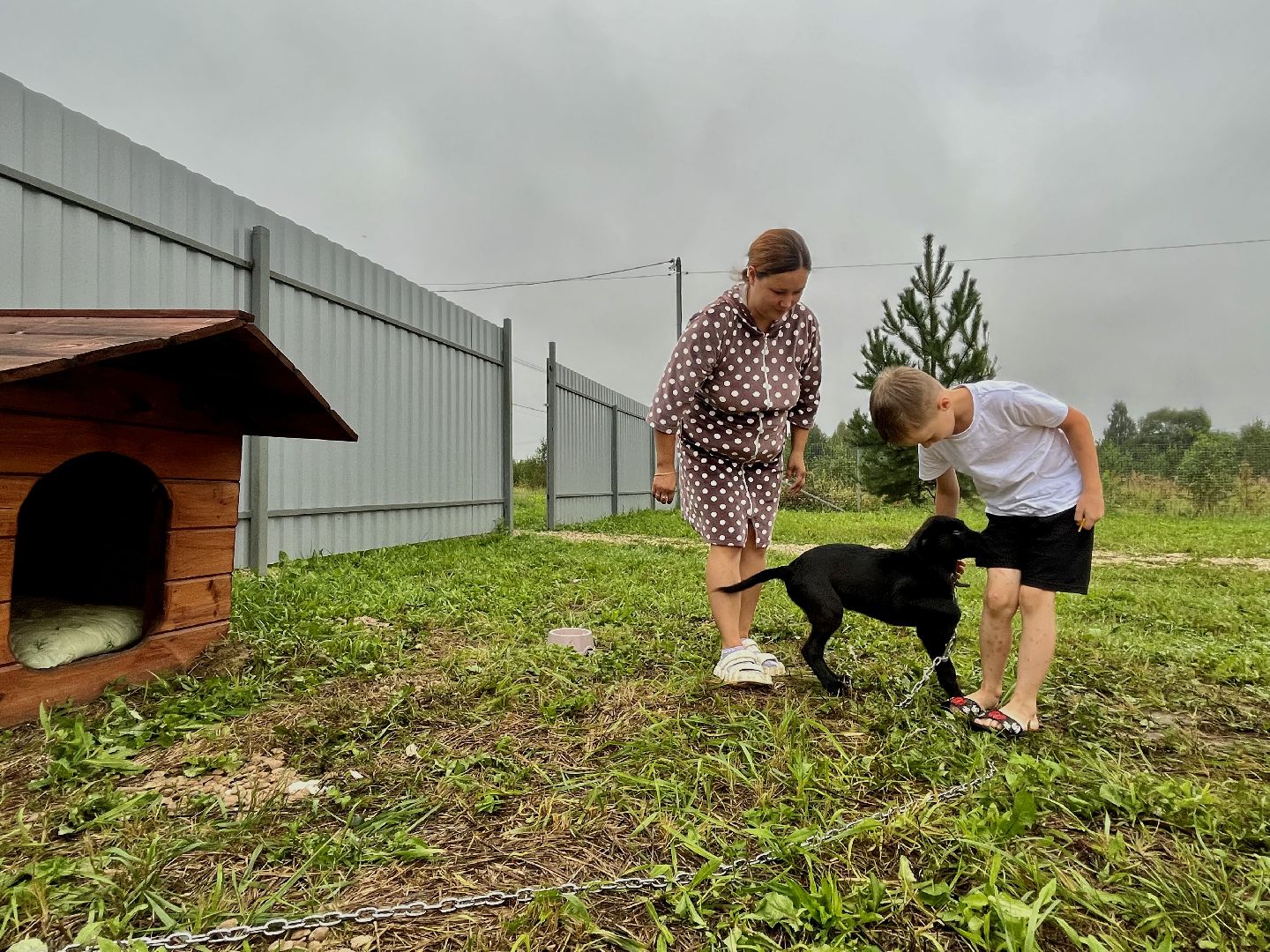 Наро-Фоминск, благотворительность, помощь участнику СВО, своих не бросаем, Андрей Воробьев