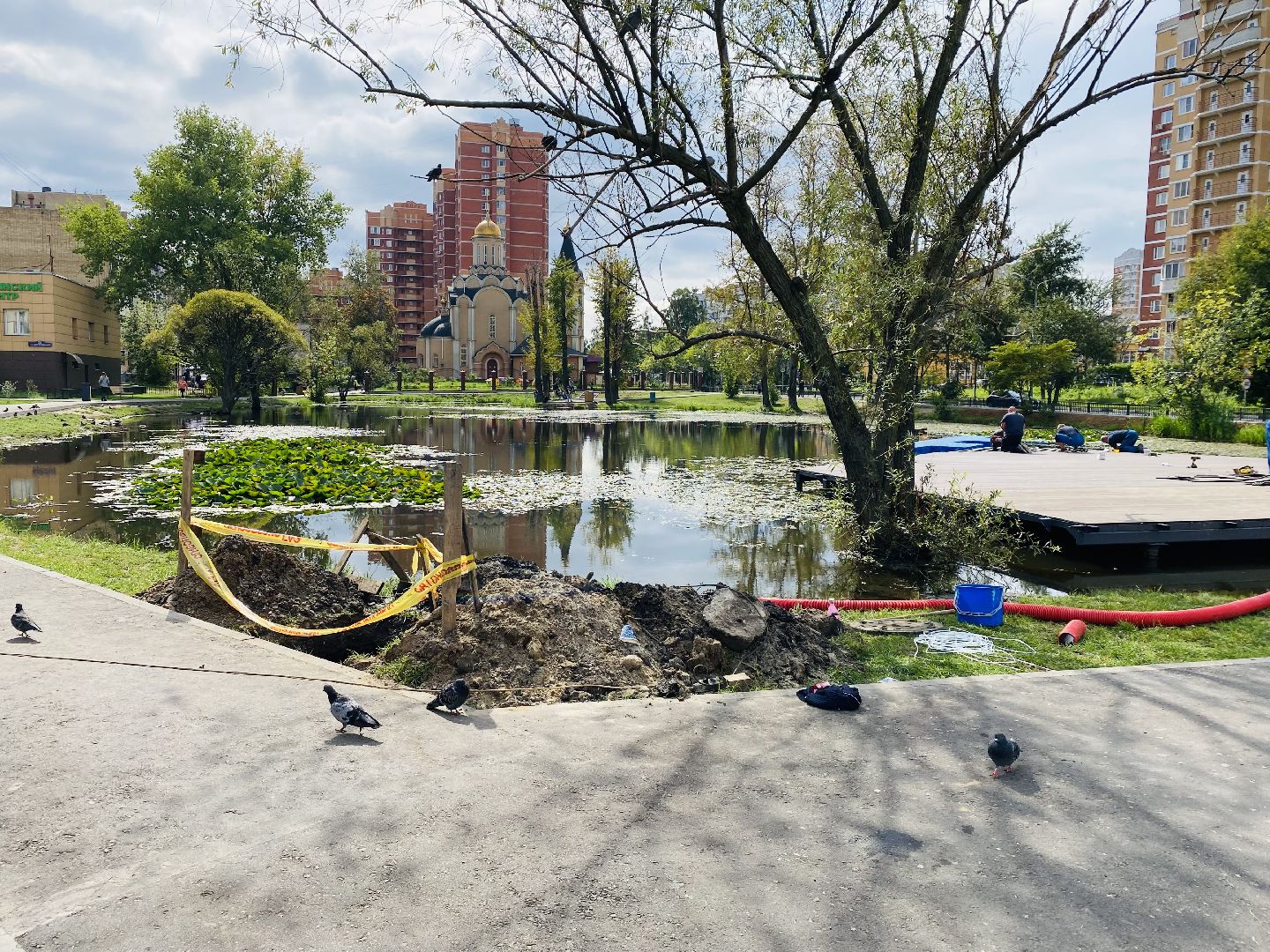 Балашиха, станция Кучино, МЦД-4, реконструкция, Благоустройство