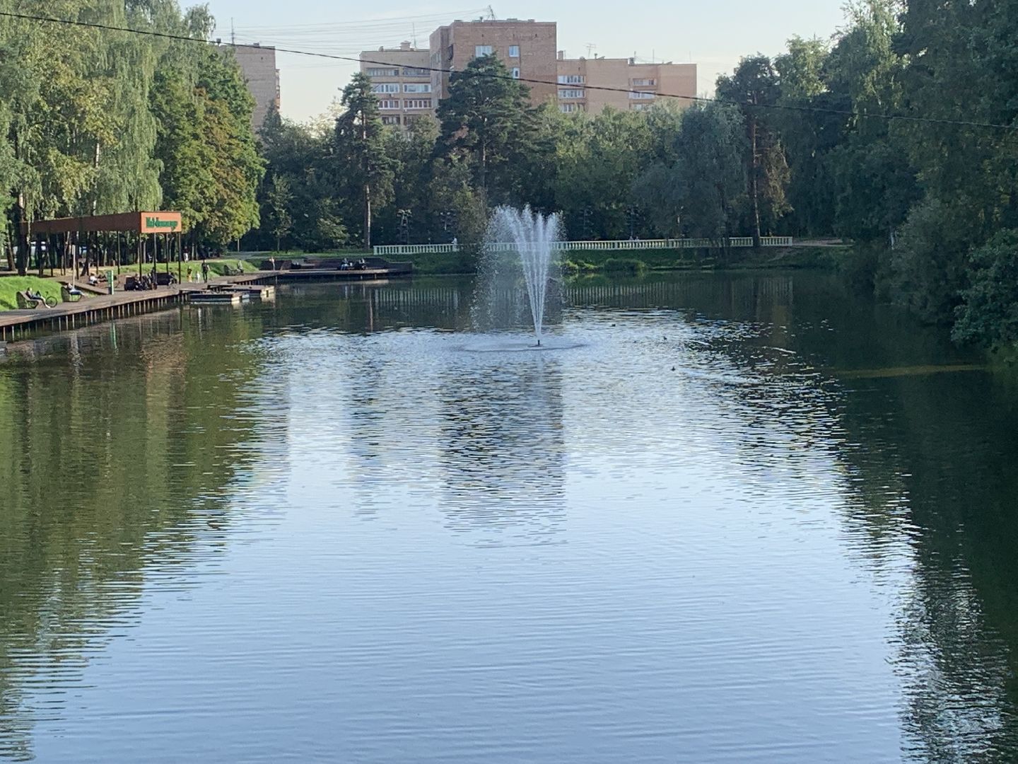 Пруд, парк, лето в подмосковье, благоуйстройство,