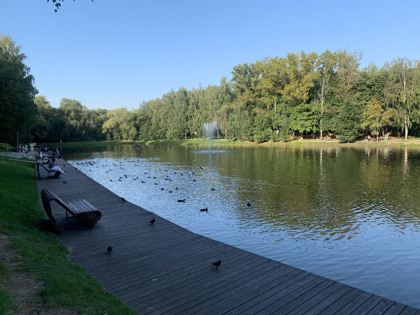 Пруд, парк, лето в подмосковье, благоуйстройство,