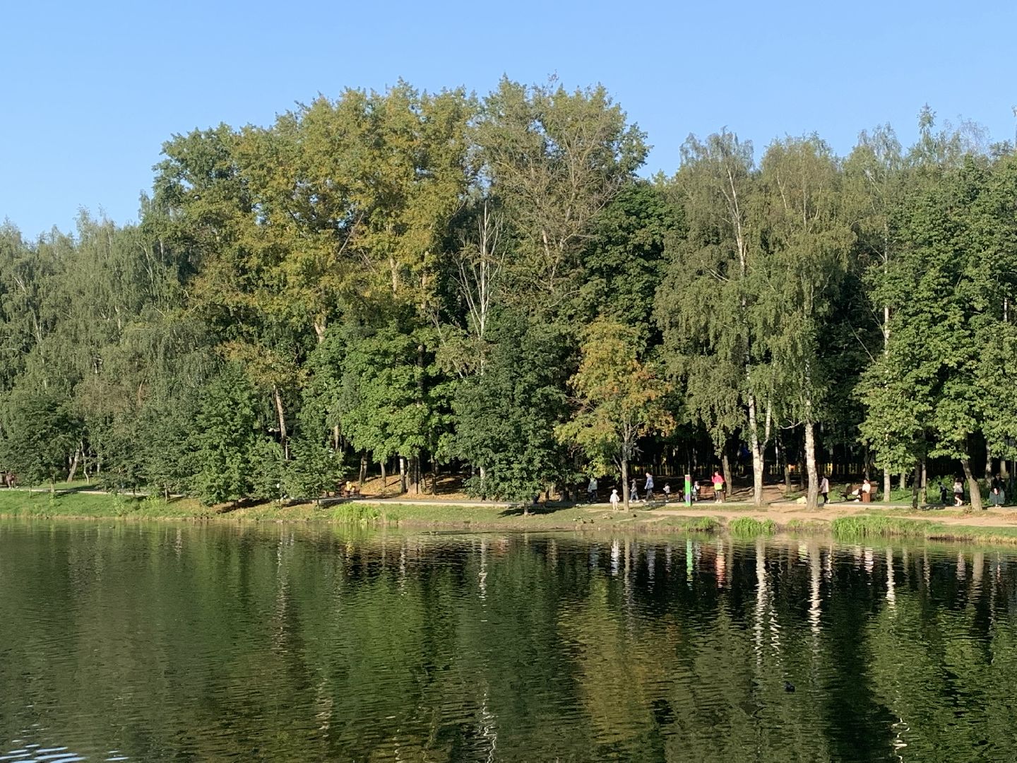 Пруд, парк, лето в подмосковье, благоуйстройство,