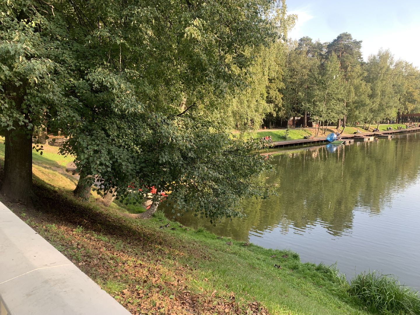 Пруд, парк, лето в подмосковье, благоуйстройство,