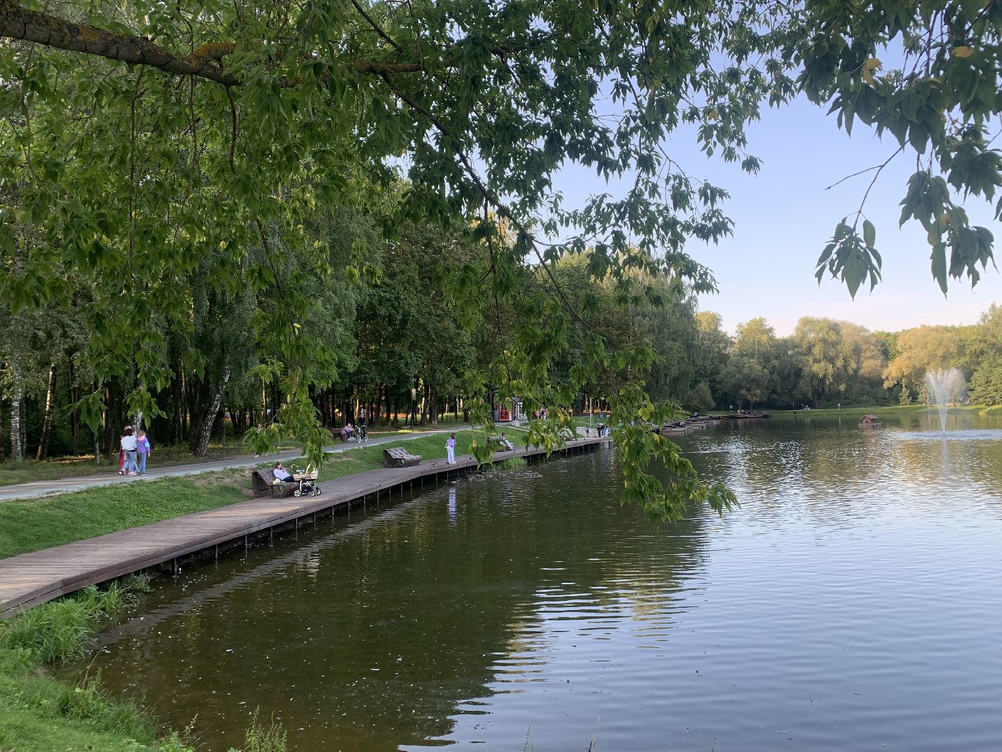 Пруд, парк, лето в подмосковье, благоуйстройство,
