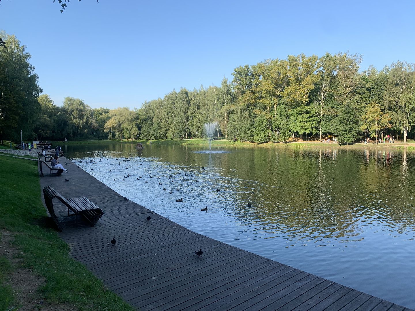 Пруд, парк, лето в подмосковье, благоуйстройство,