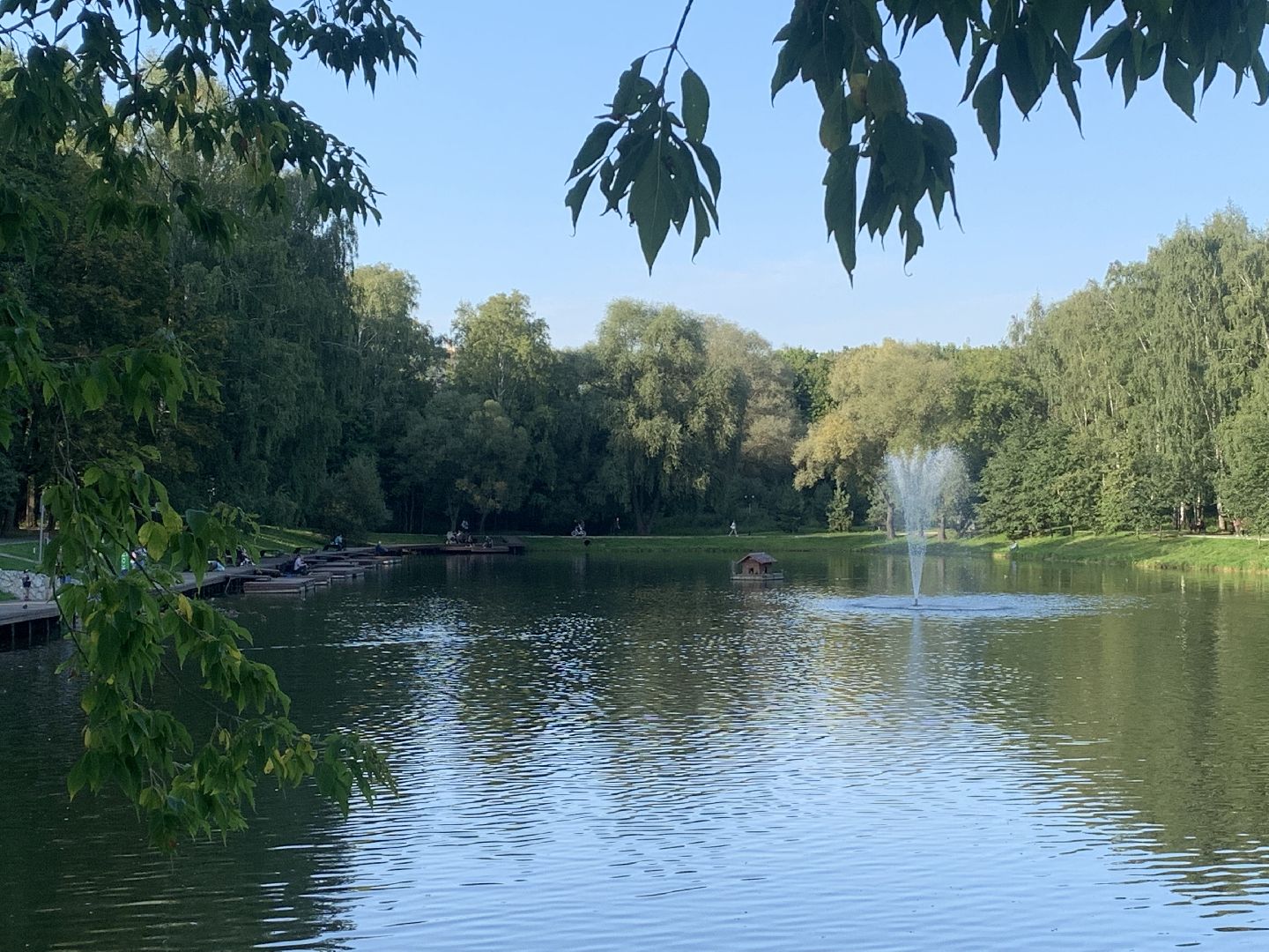 Пруд, парк, лето в подмосковье, благоуйстройство,