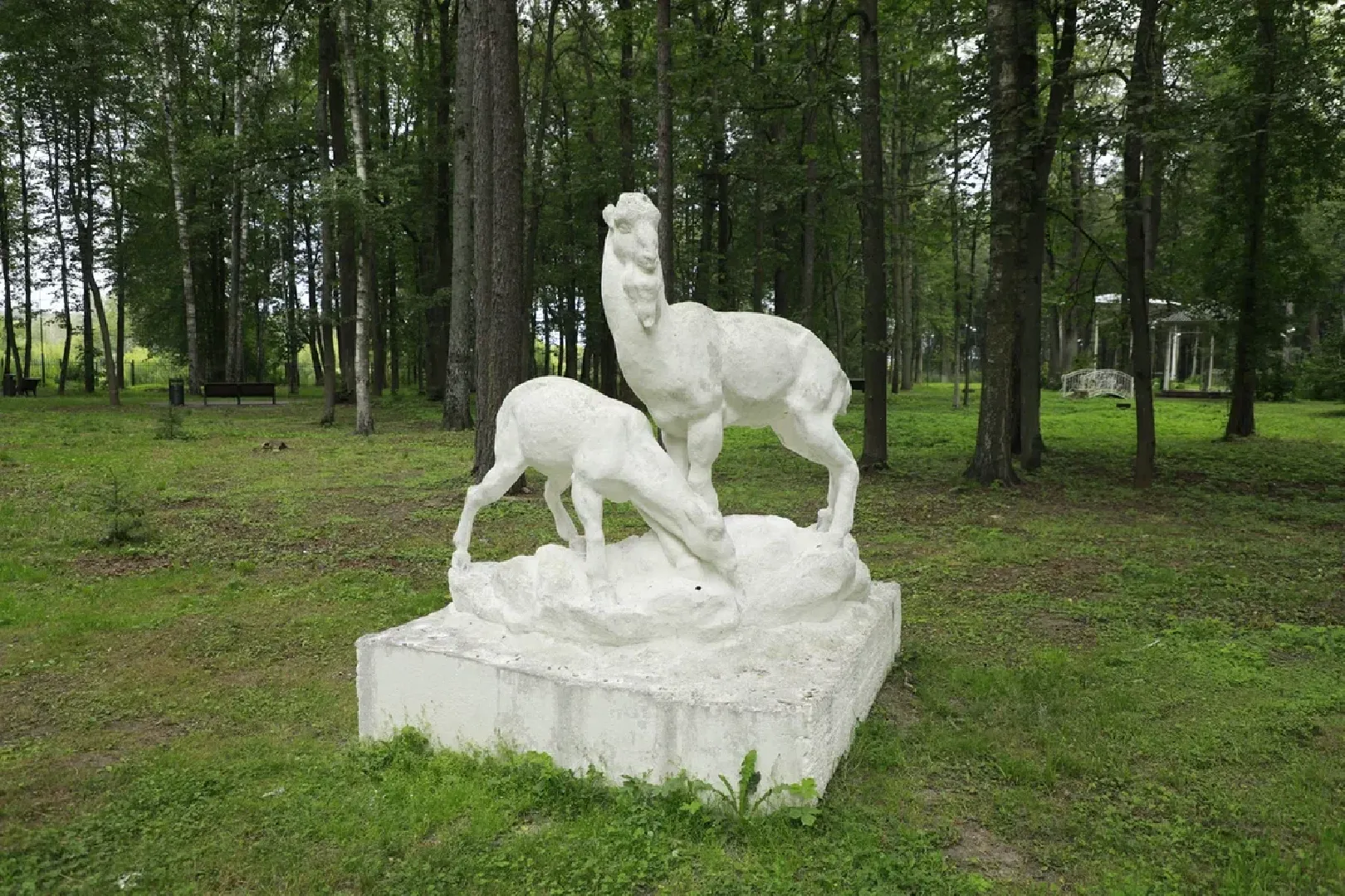 Наро-Фоминск, центральный парк наро-фоминска, благоустройство, общественный совет парка