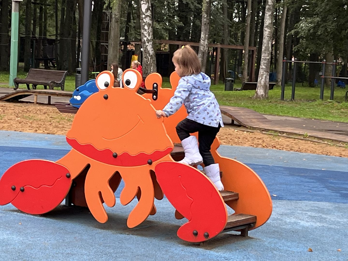 Наро-Фоминск, центральный парк наро-фоминска, благоустройство, общественный совет парка