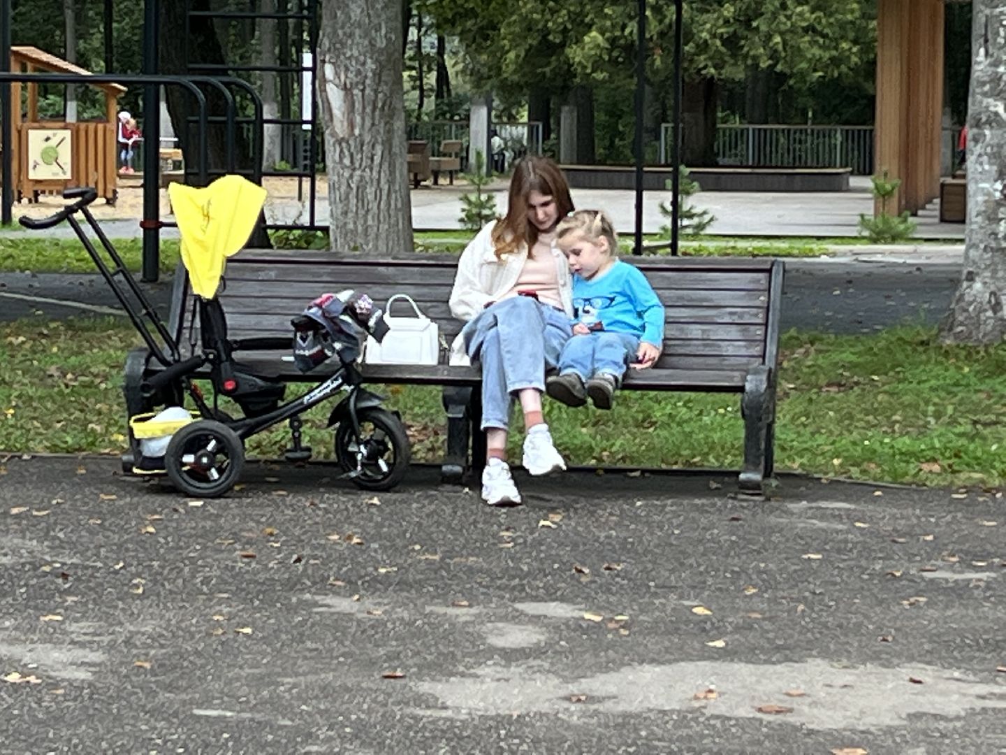 Наро-Фоминск, центральный парк наро-фоминска, благоустройство, общественный совет парка