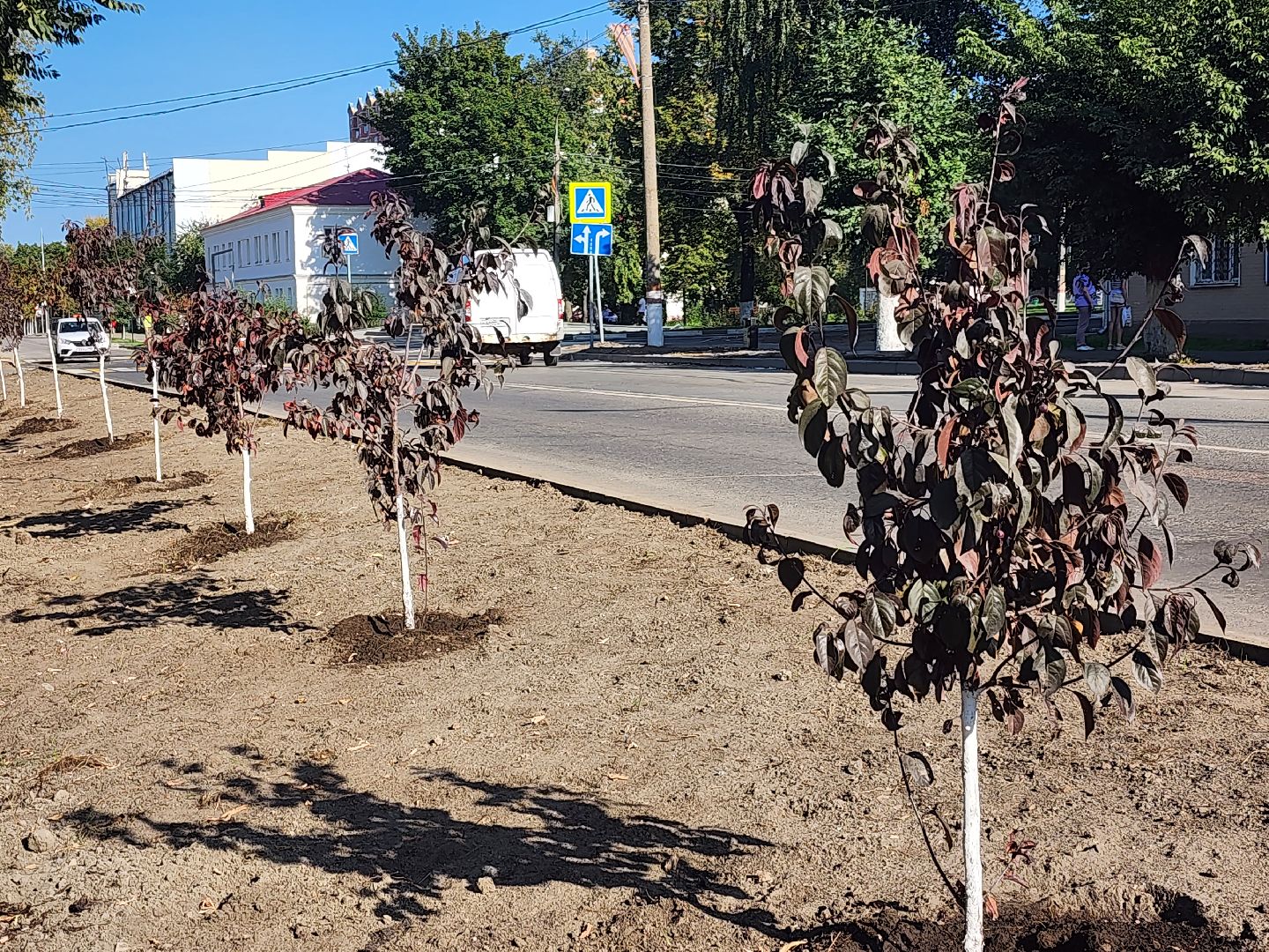 Павловский Посад, городской округ Павловский Посад, люди, благоустройство, тротуар, улица, ремонт