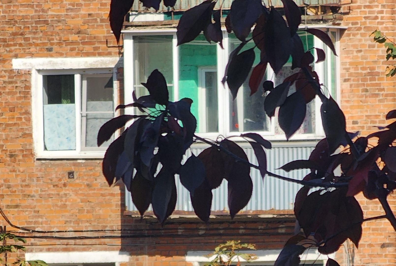 Павловский Посад, городской округ Павловский Посад, люди, благоустройство, тротуар, улица, ремонт