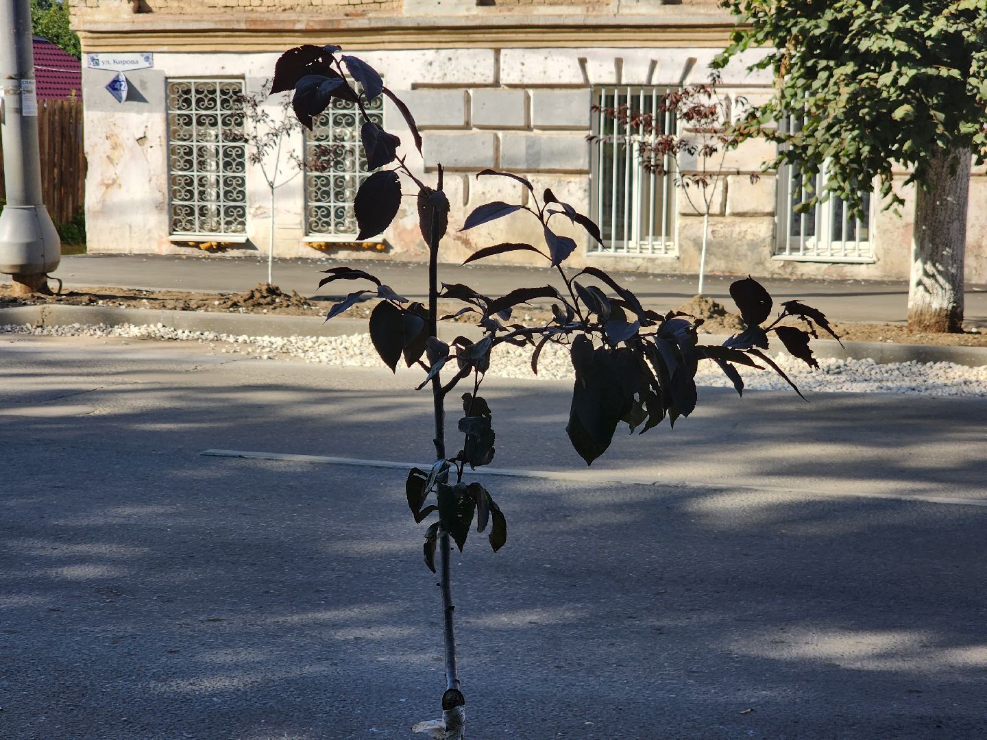 Павловский Посад, городской округ Павловский Посад, люди, благоустройство, тротуар, улица, ремонт