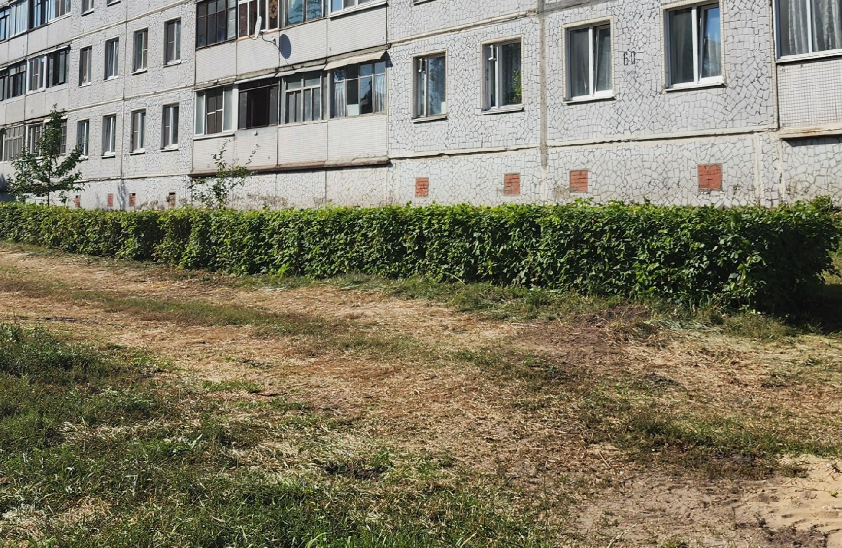 Павловский Посад, городской округ павловский Посад, люди, благоустройство, тротуар, кусты, уборка