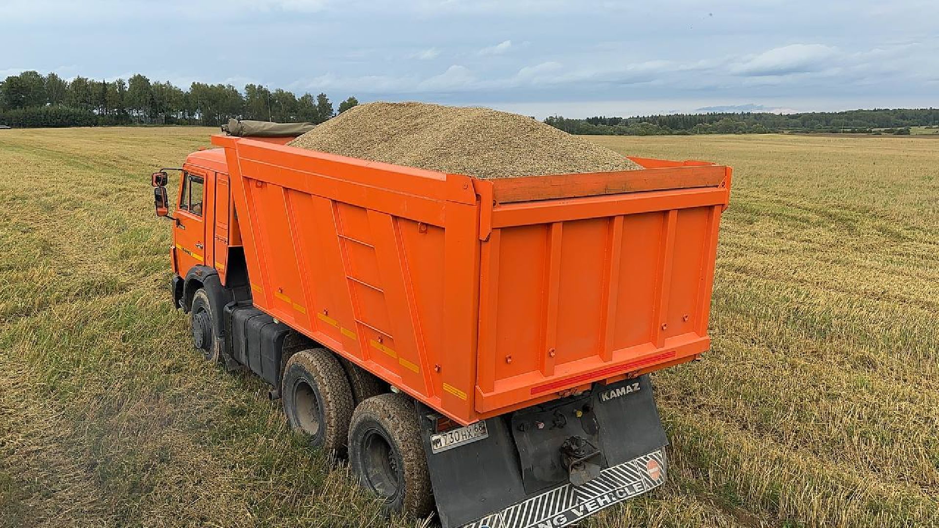 Можайск, Можайский городской округ, Подмосковье, сбор урожая, зерно, пшеница, овёс, рожь, аграрий, сельское хозяйство, агроном