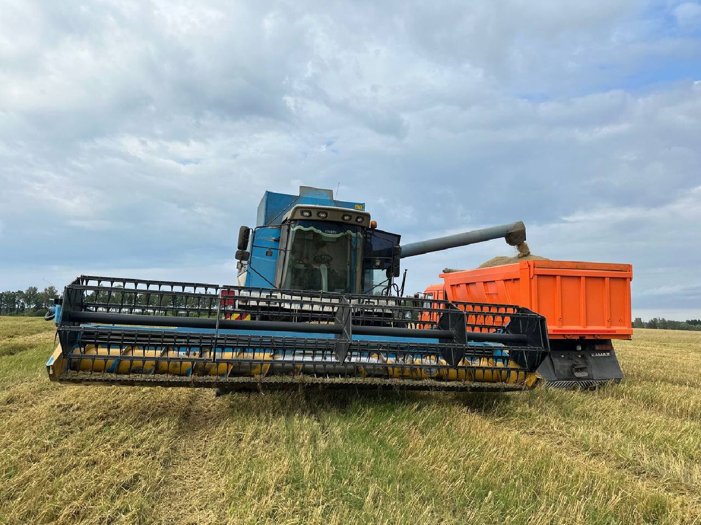 Можайск, Можайский городской округ, Подмосковье, сбор урожая, зерно, пшеница, овёс, рожь, аграрий, сельское хозяйство, агроном