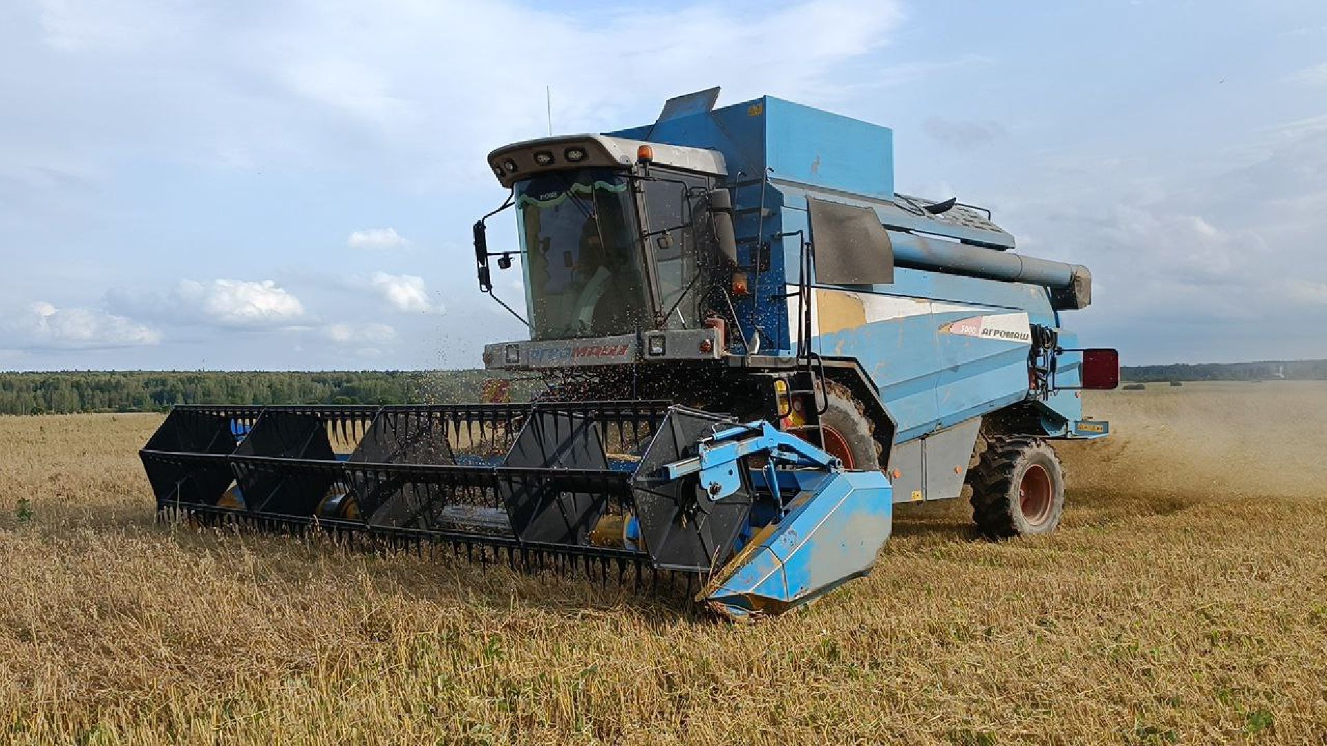 Можайск, Можайский городской округ, Подмосковье, сбор урожая, зерно, пшеница, овёс, рожь, аграрий, сельское хозяйство, агроном