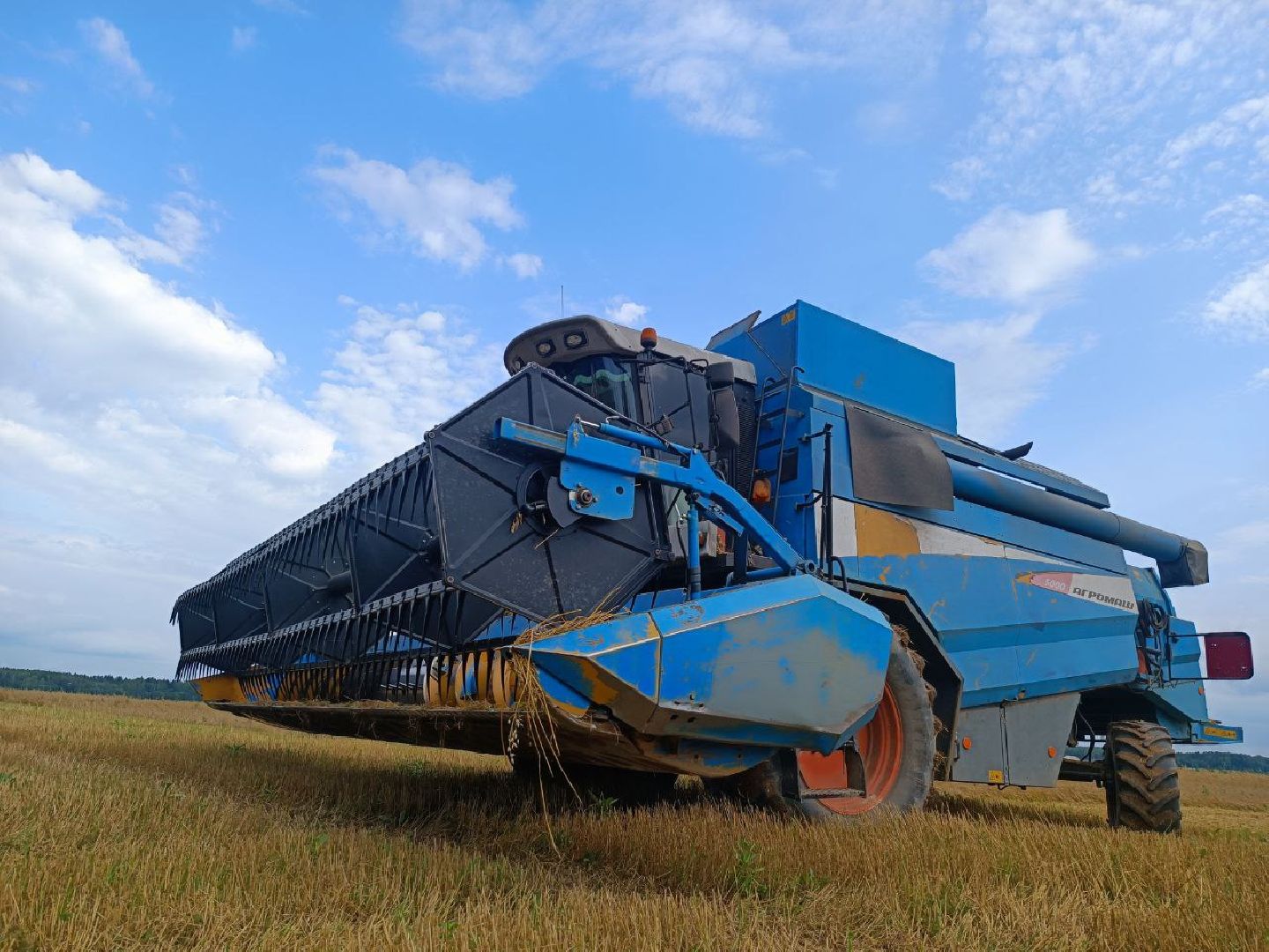 Можайск, Можайский городской округ, Подмосковье, сбор урожая, зерно, пшеница, овёс, рожь, аграрий, сельское хозяйство, агроном