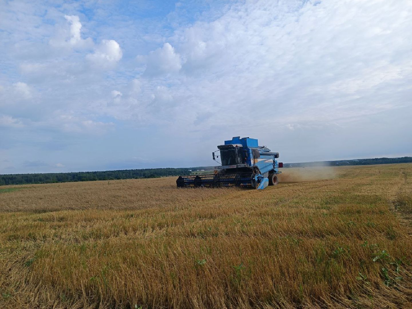 Можайск, Можайский городской округ, Подмосковье, сбор урожая, зерно, пшеница, овёс, рожь, аграрий, сельское хозяйство, агроном