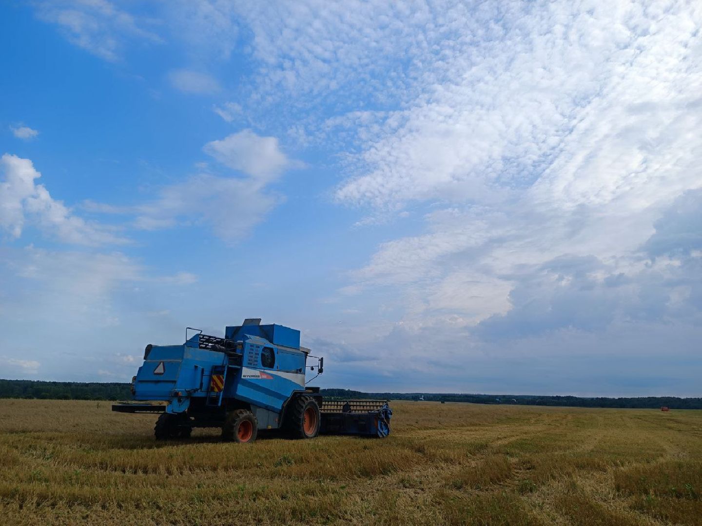 Можайск, Можайский городской округ, Подмосковье, сбор урожая, зерно, пшеница, овёс, рожь, аграрий, сельское хозяйство, агроном