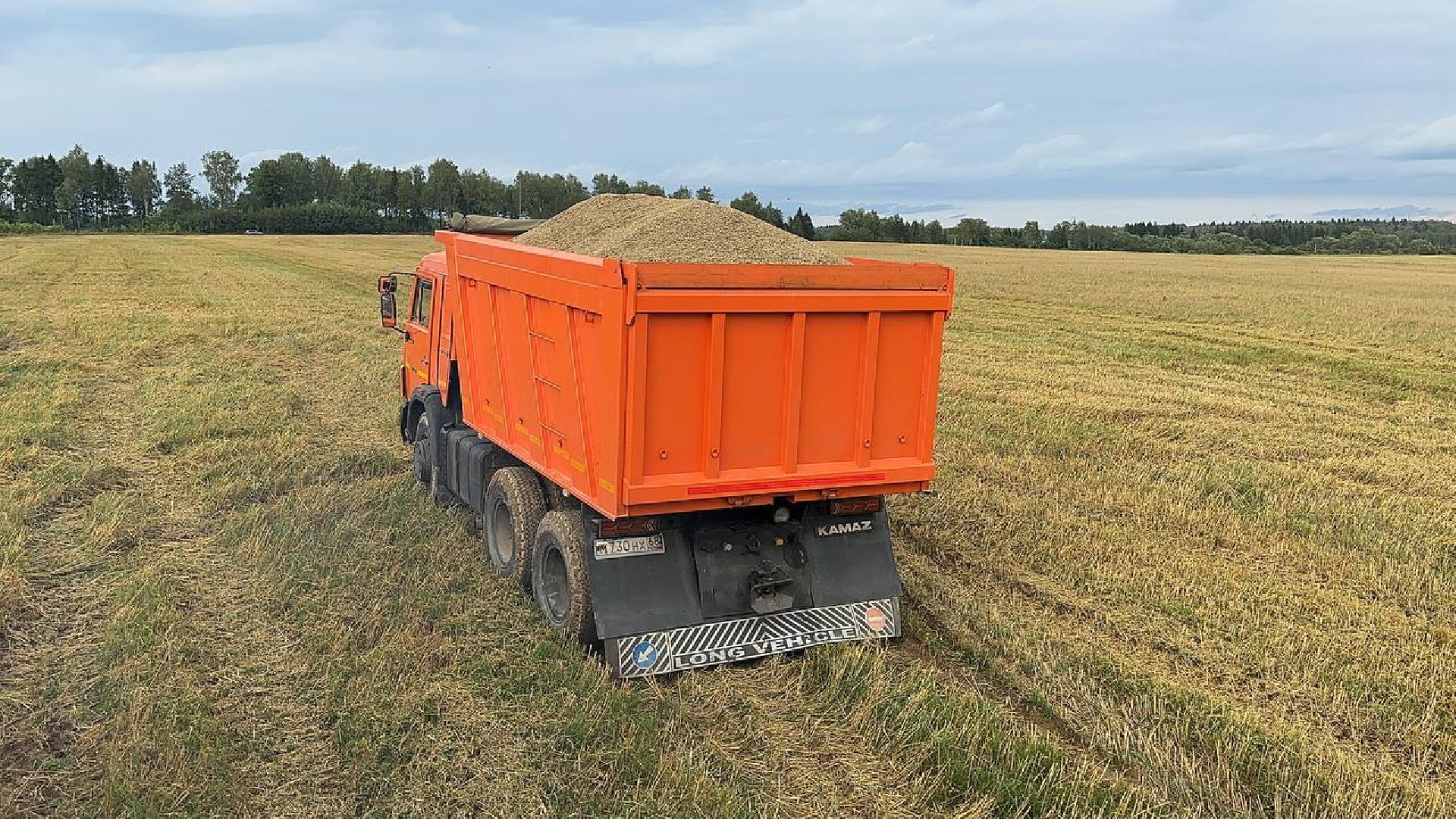 Можайск, Можайский городской округ, Подмосковье, сбор урожая, зерно, пшеница, овёс, рожь, аграрий, сельское хозяйство, агроном