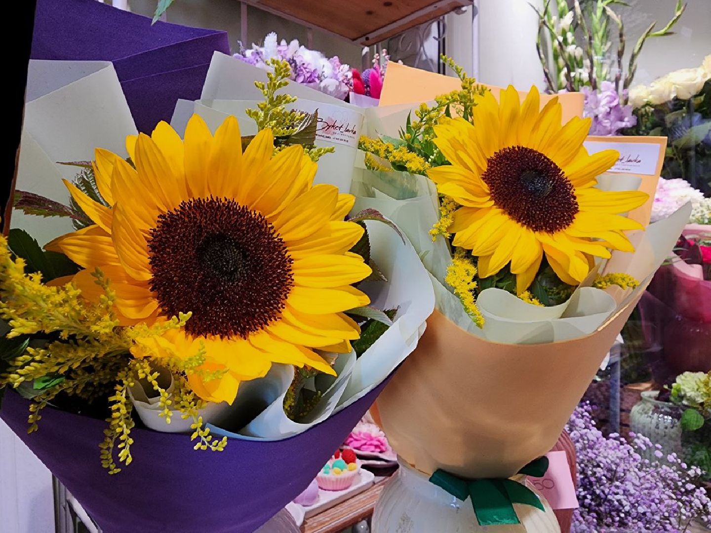 цветы, 1 сентября, День знаний, Лосино-Петровский