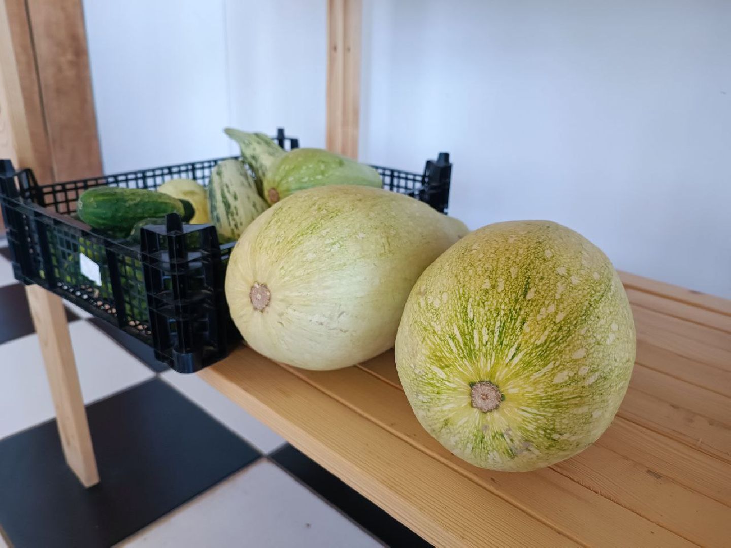 Можайск, Можайский городской округ, Подмосковье, сыр, сыроварня, экоранчо, агротуристический комплекс, туризм