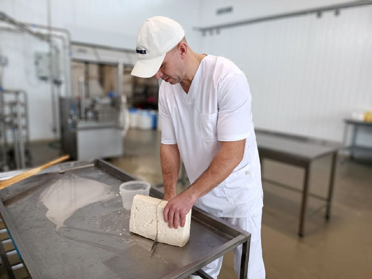 Можайск, Можайский городской округ, Подмосковье, сыр, сыроварня, экоранчо, агротуристический комплекс, туризм