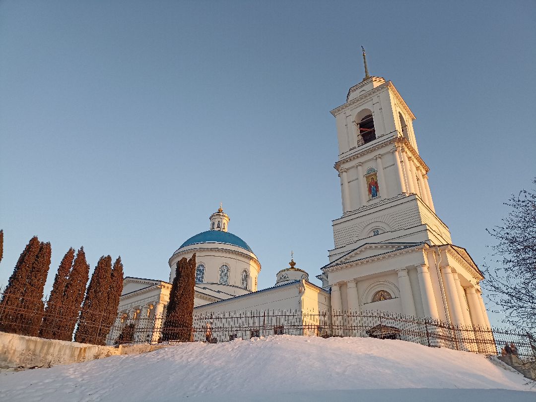 Серпухов, общество, икона