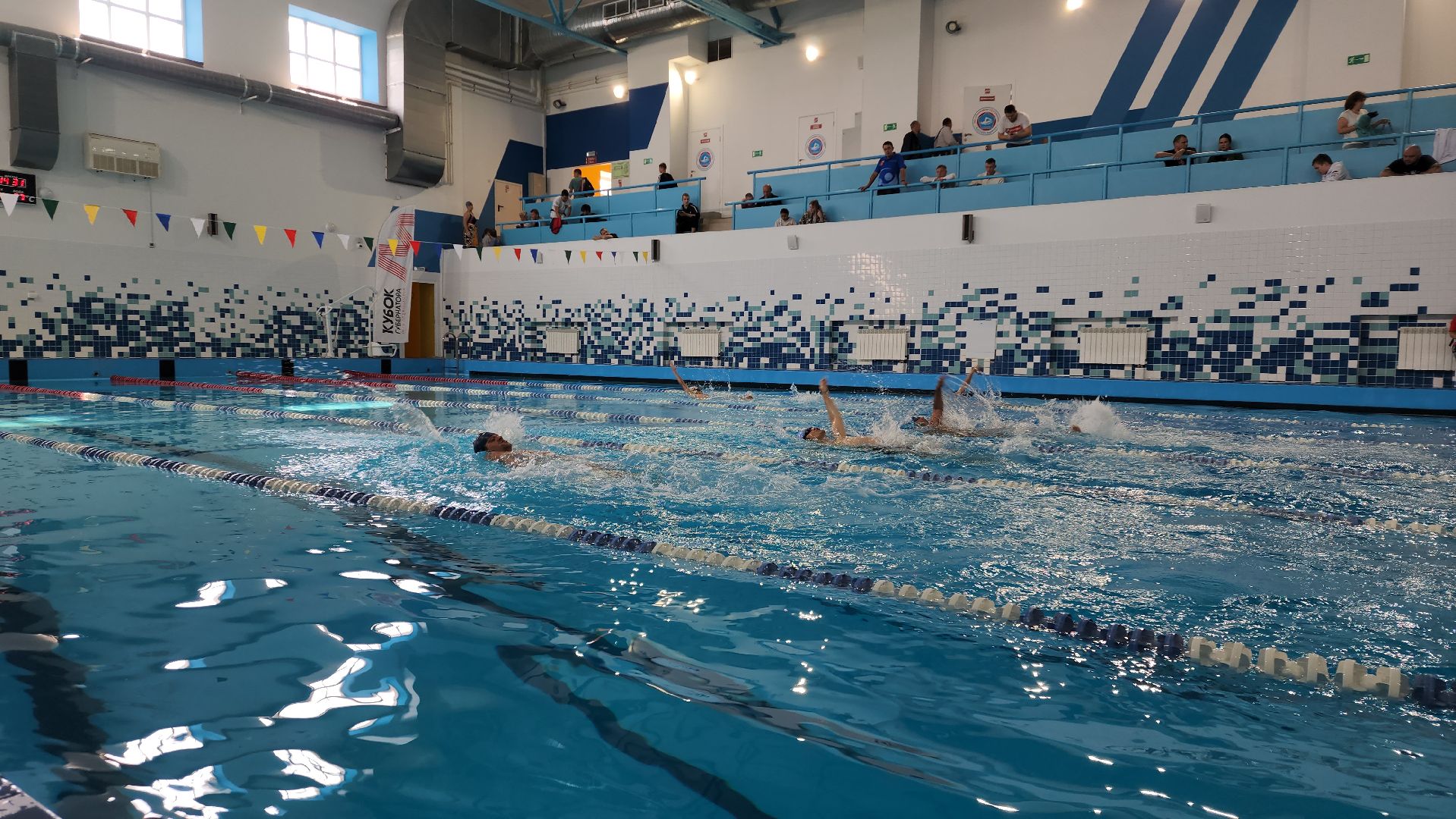 кубок губернатора, плавание, спорт,