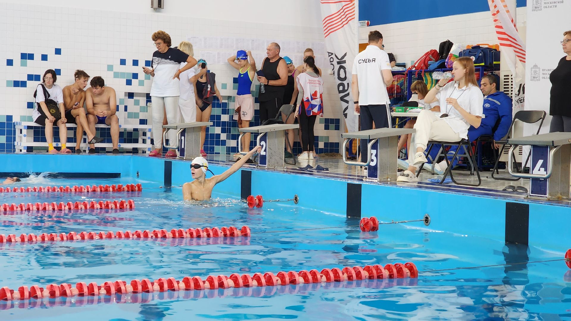 кубок губернатора, плавание, спорт,