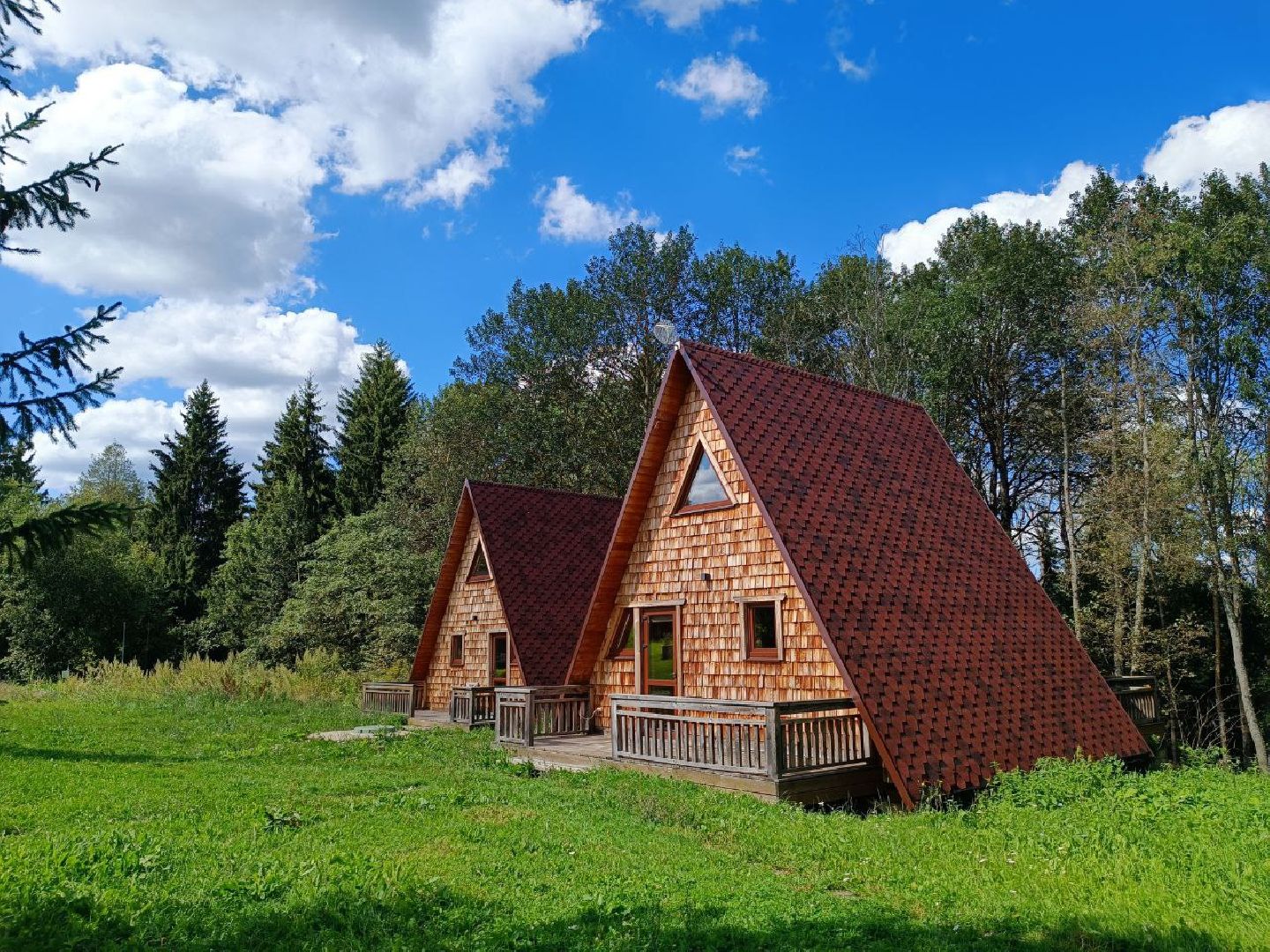 Можайск, Можайский городской округ, Подмосковье, сыр, сыроварня, экоранчо, агротуристический комплекс, туризм