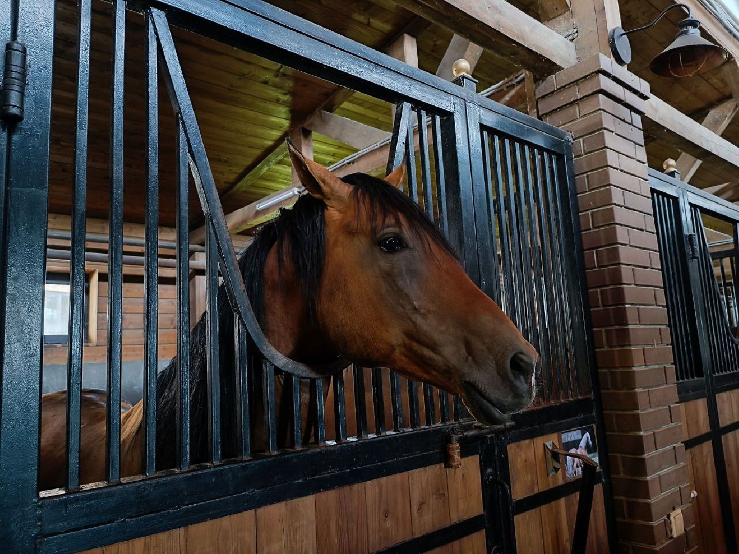 Можайск, Можайский городской округ, Подмосковье, сыр, сыроварня, экоранчо, агротуристический комплекс, туризм