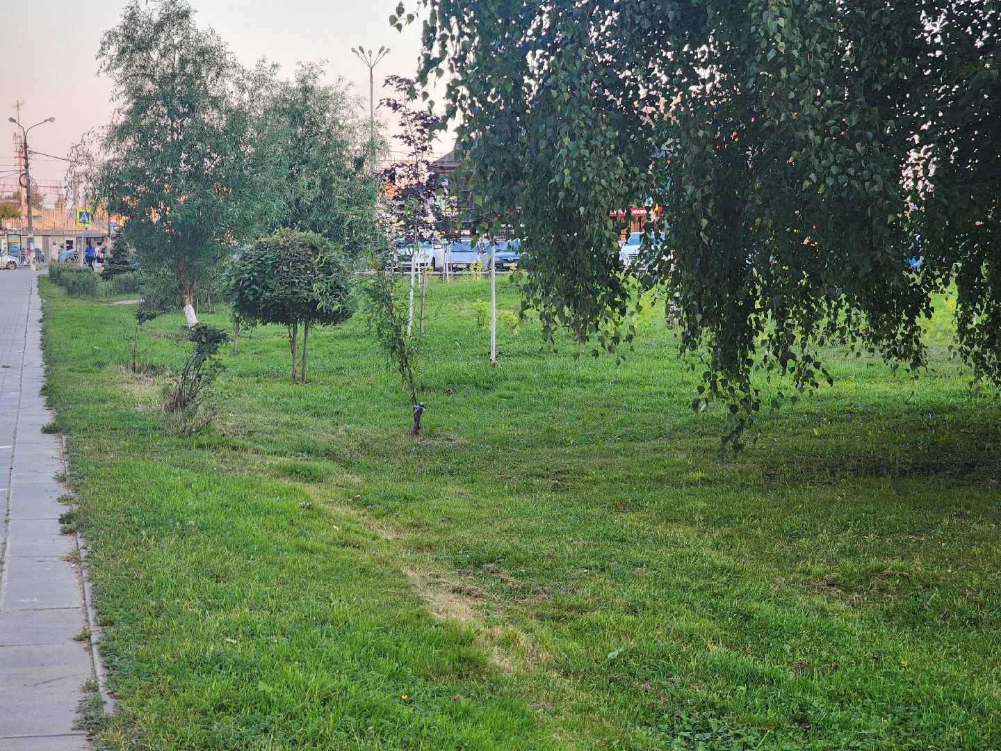 Павловский Посад, городской округ Павловский Посад, станция, люди, покос травы, газон, благоустройство