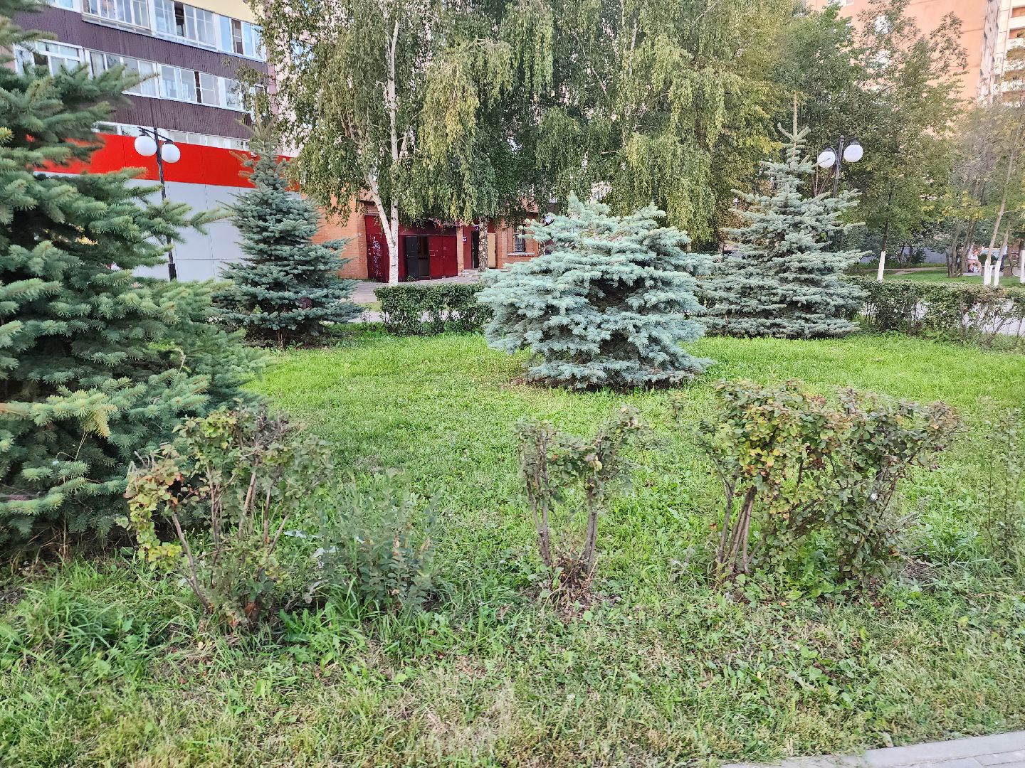 Павловский Посад, городской округ Павловский Посад, станция, люди, покос травы, газон, благоустройство