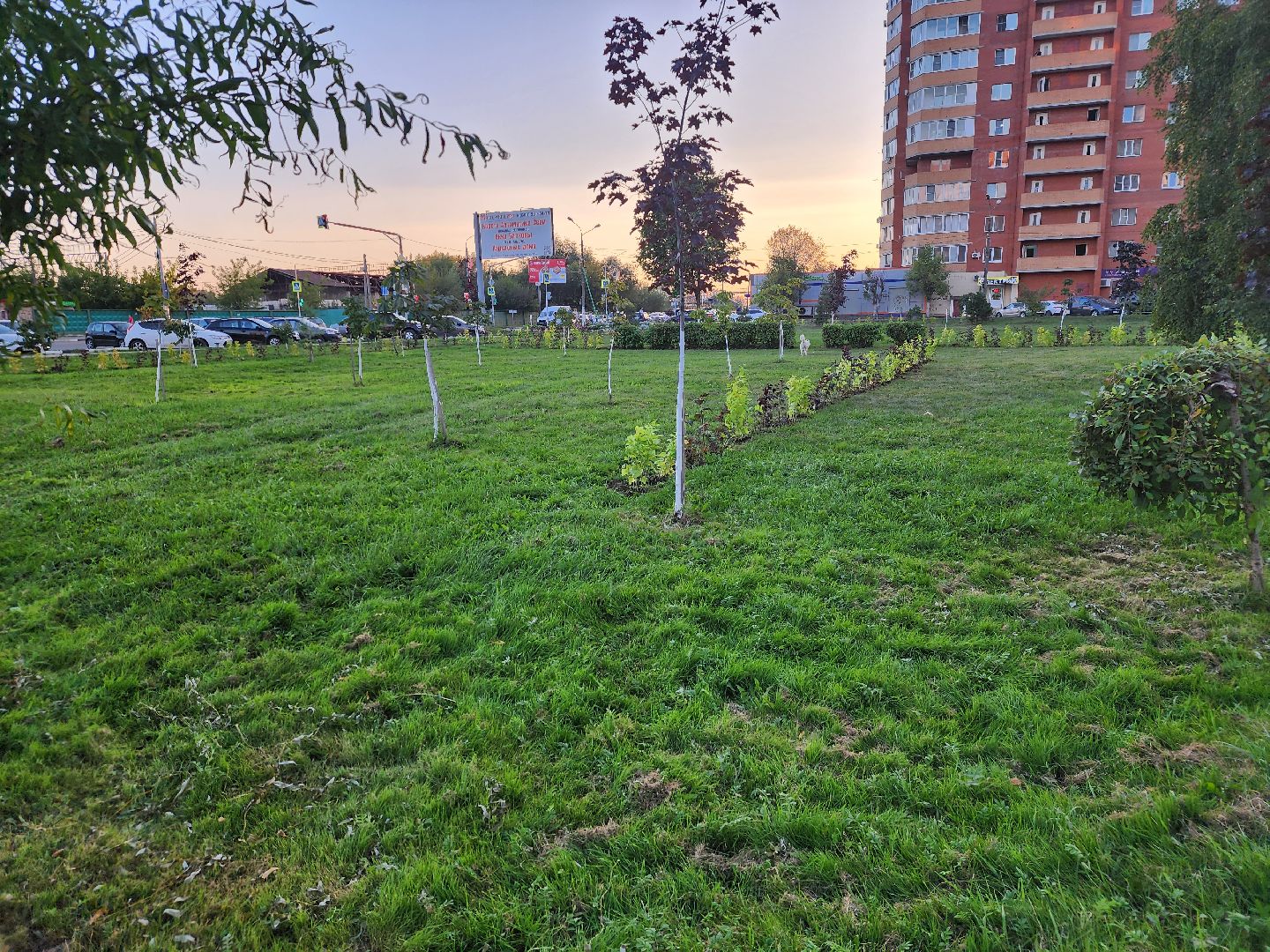 Павловский Посад, городской округ Павловский Посад, станция, люди, покос травы, газон, благоустройство