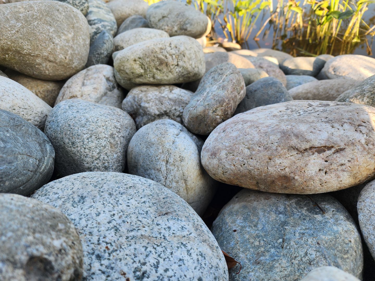 Павловский Посад, городской округ Павловский Посад, парк, благоустройство, Дубрава, сквер, пруд